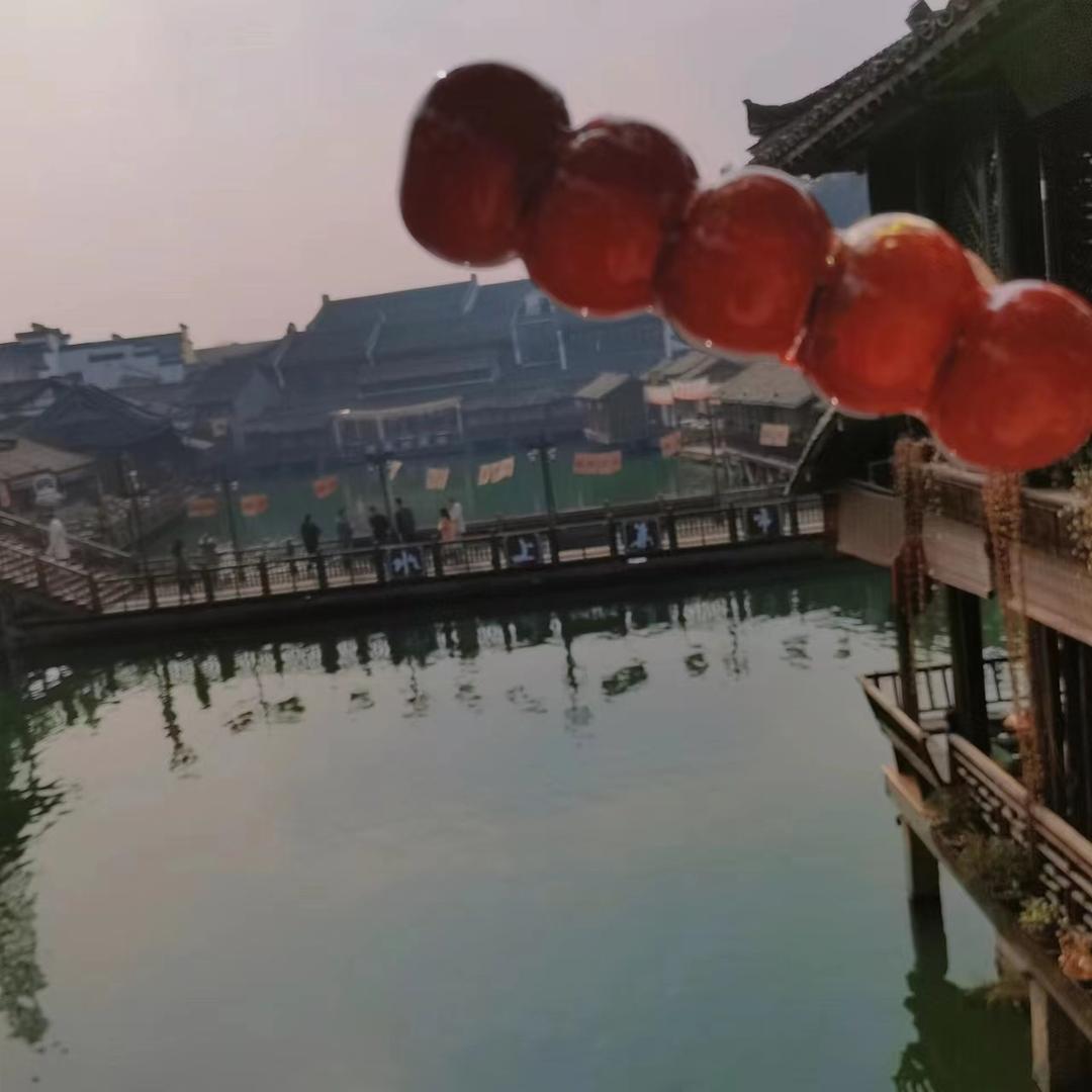 老卢说光伏