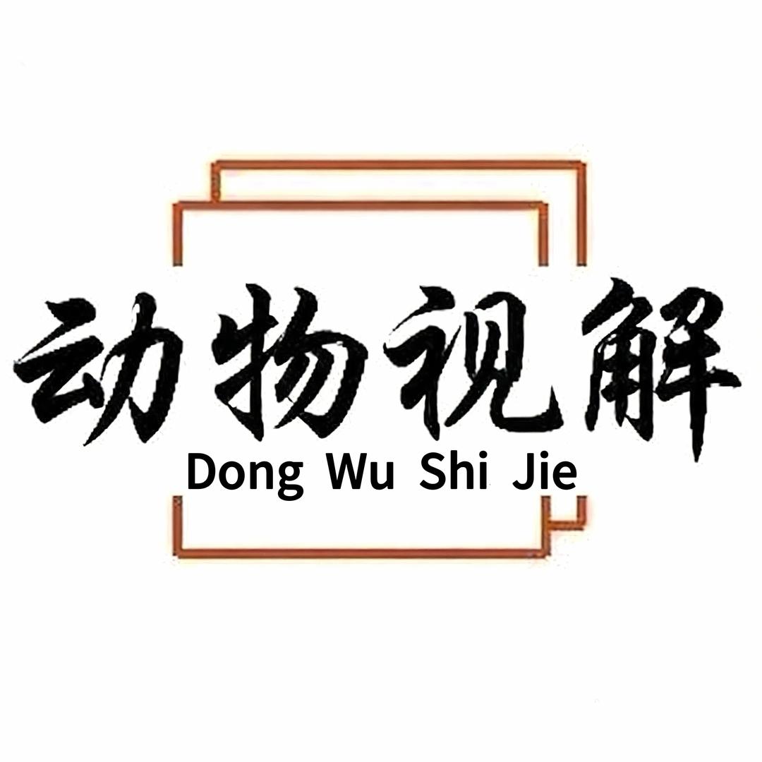 动物视解