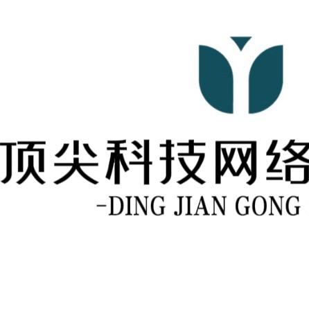 顶尖科技（网络工作室）
