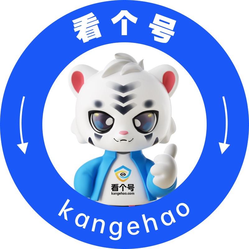 看个号游戏服务