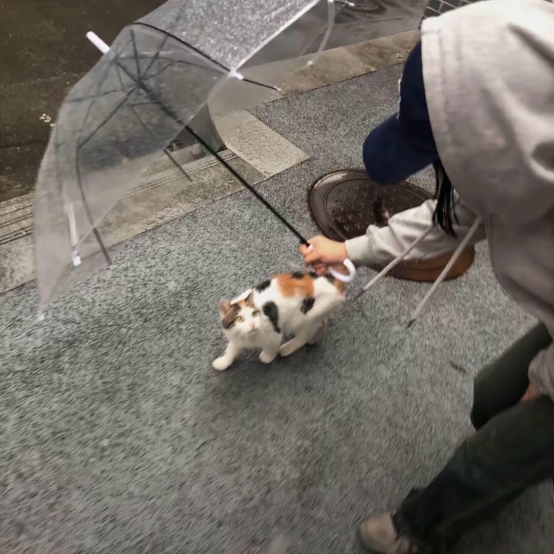 by宁-