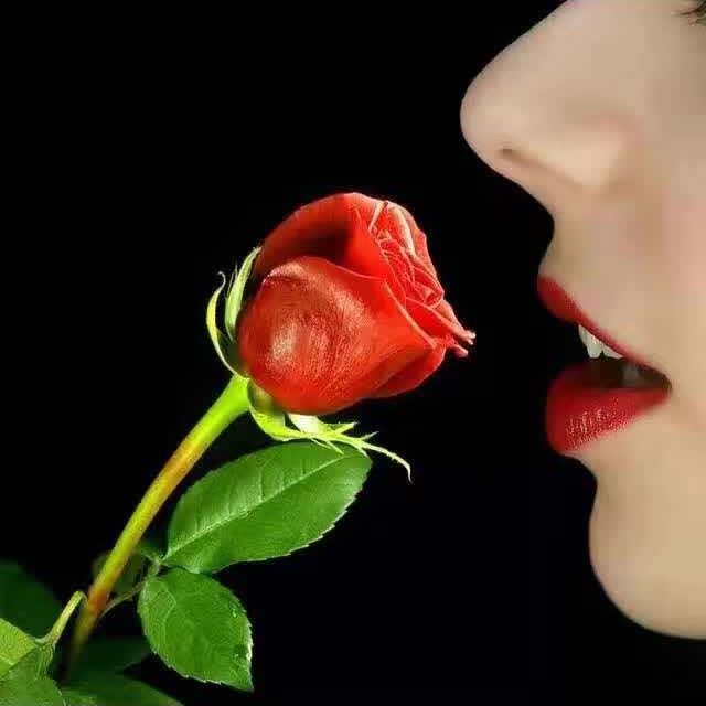 岁月静好 🌹 🌹