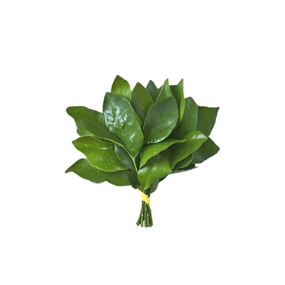 一个玉米吃得饱