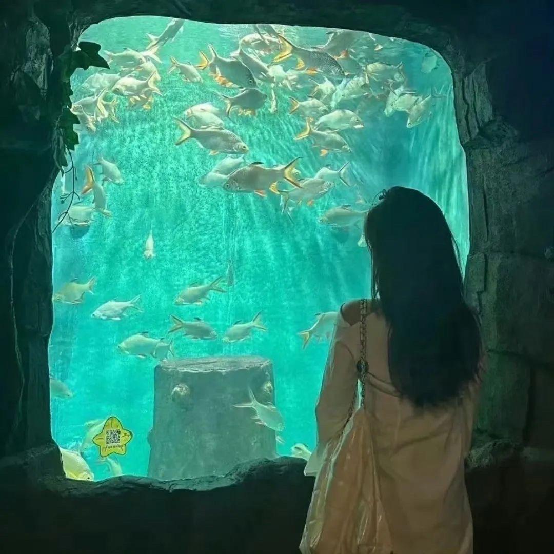 雅