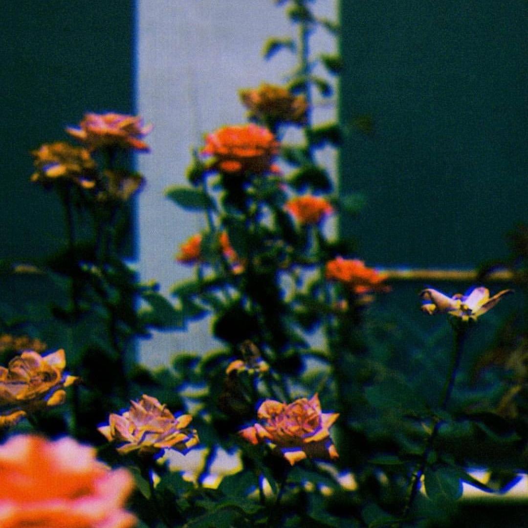 Virgil6