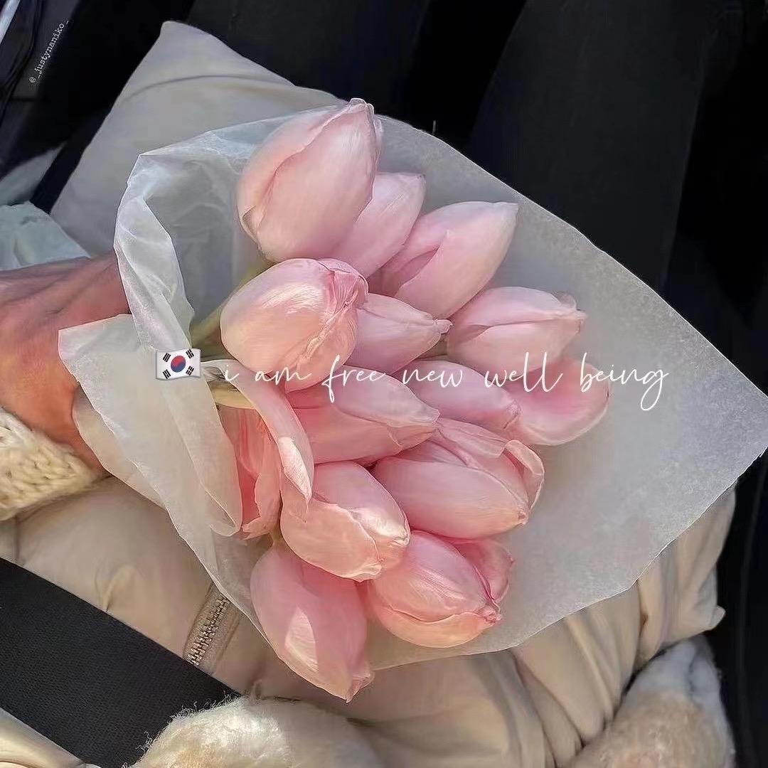 楚衣格