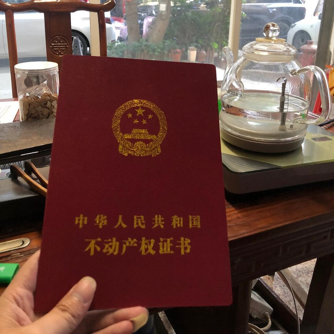 初一中介