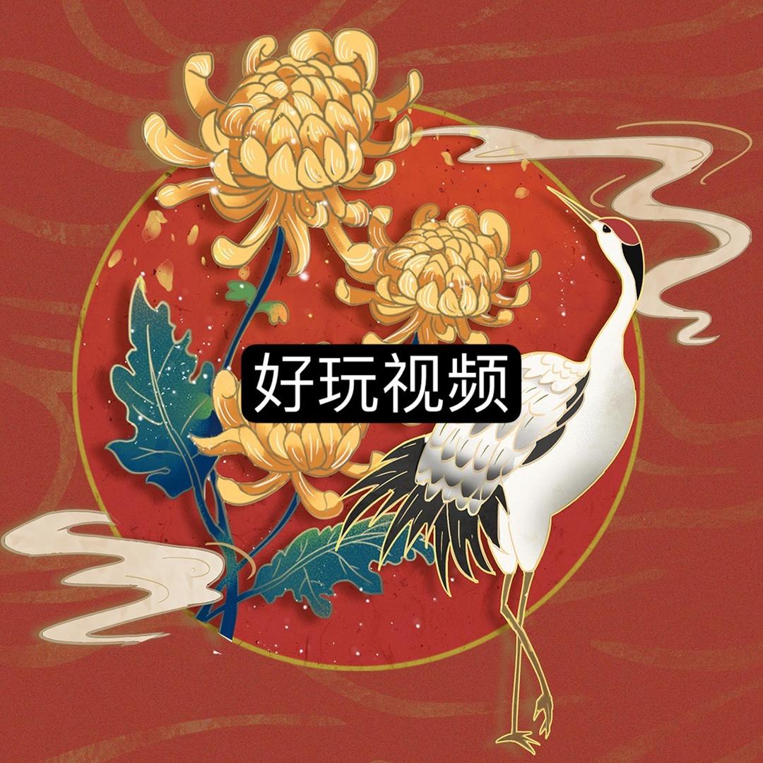 好玩视频
