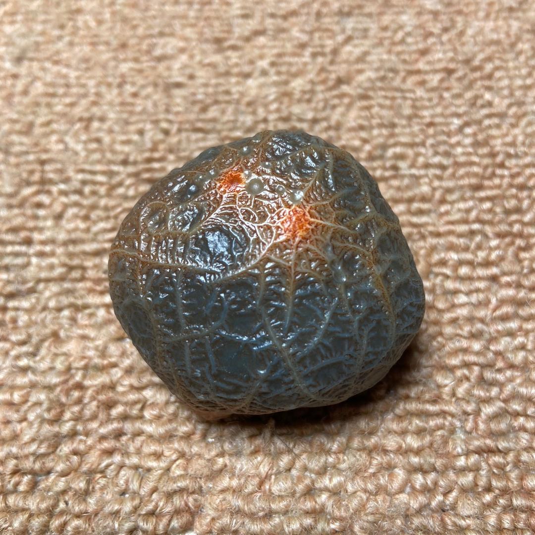 善石之国 戈壁原石批发