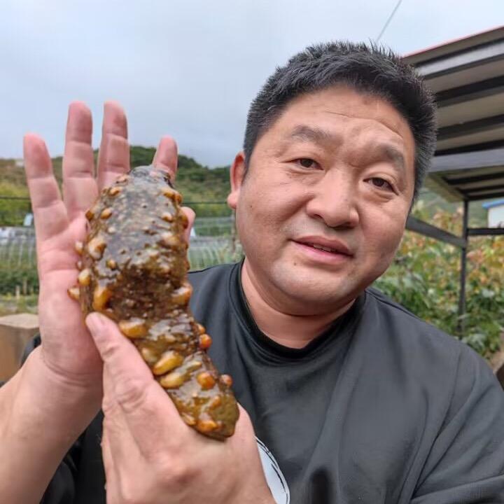 汪胖胖大连长海县广鹿岛海参