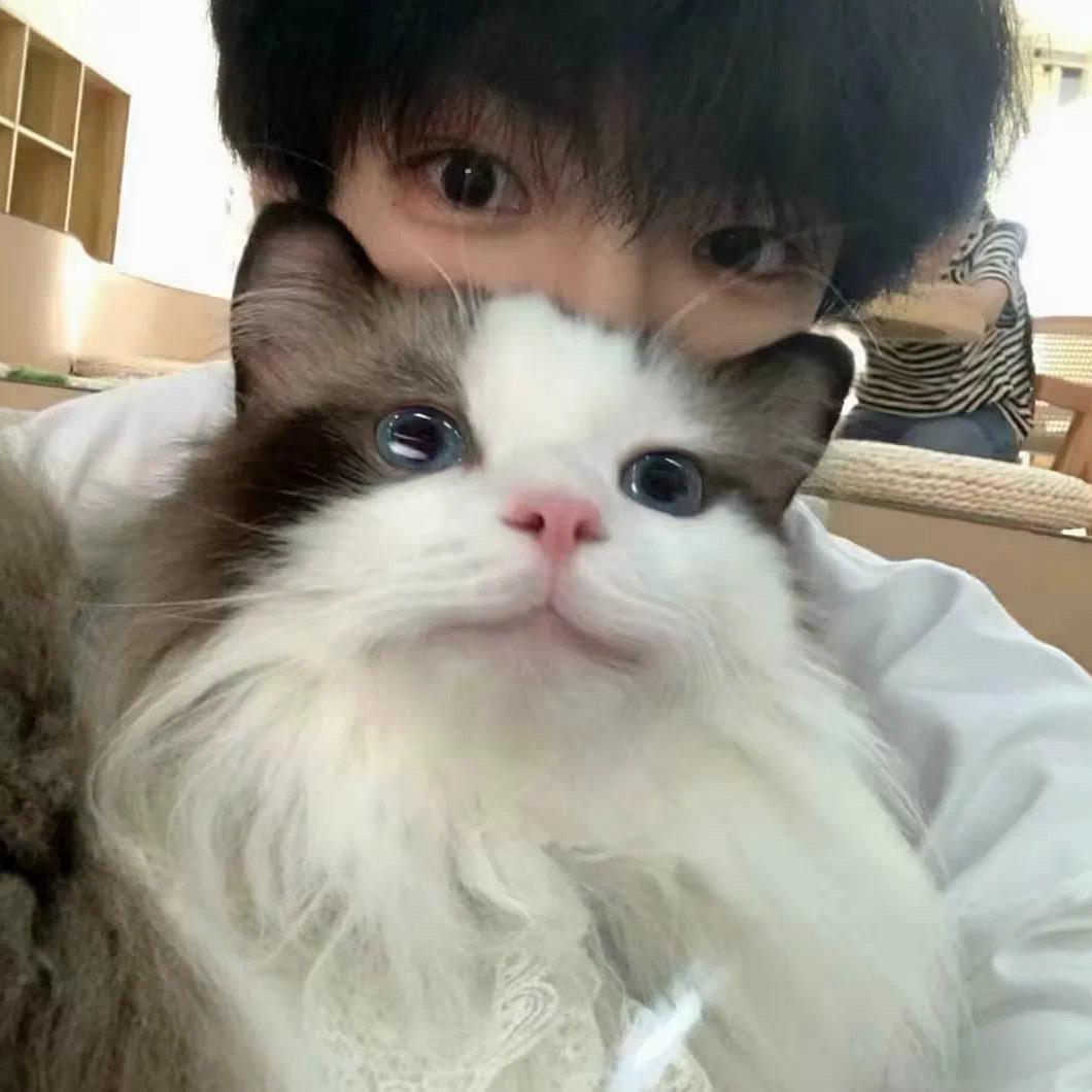 晚安晚安晚安
