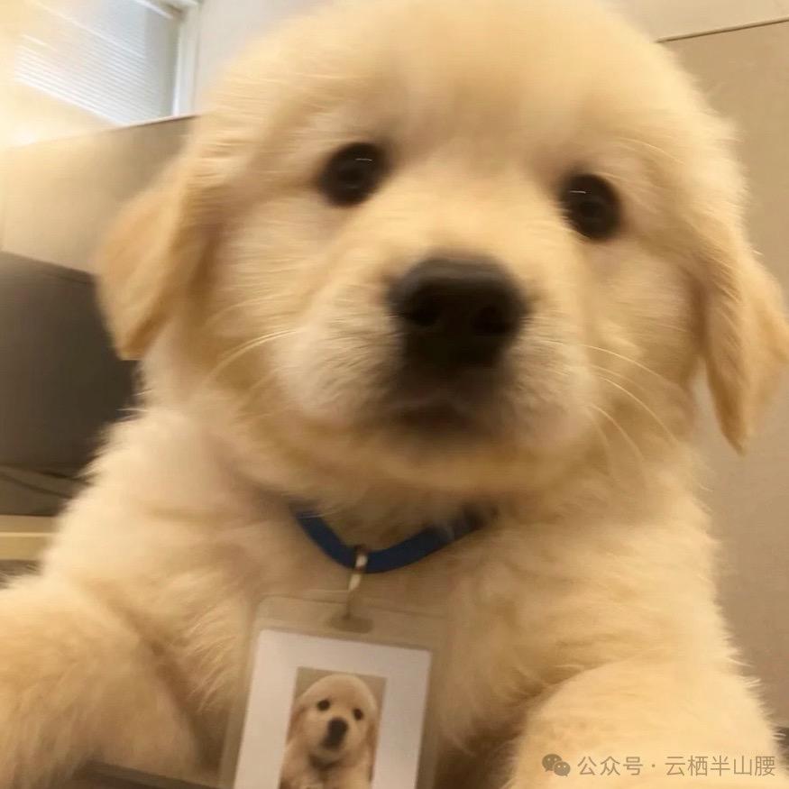 ʚₐ📀¹ⁿᴳ 盭Ꙫ˙ᴮᵃᵒ響🧂ᙆ ɞ