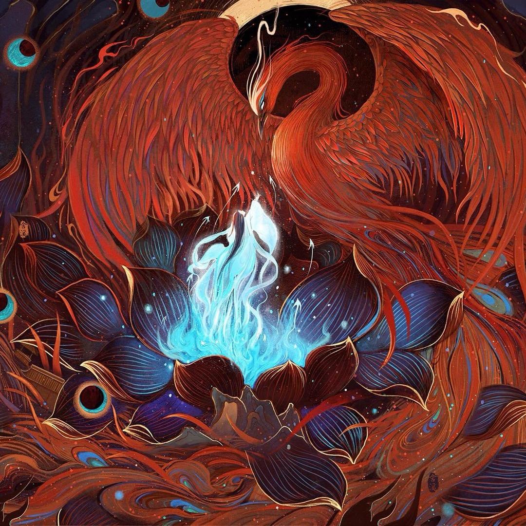 红鸾✨