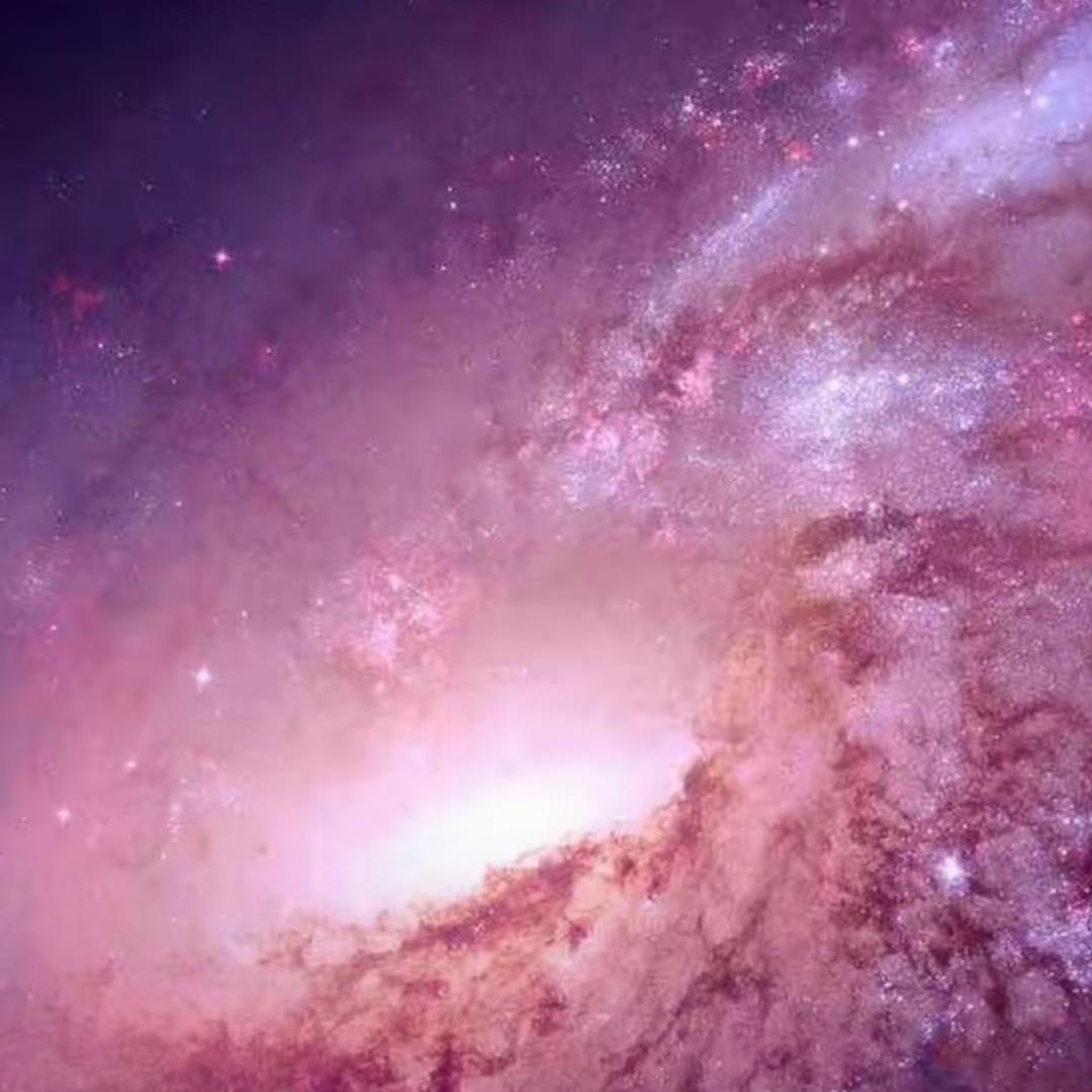 采姑娘的小蘑菇🍄