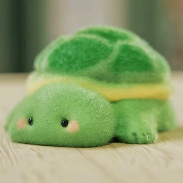 幼儿园的小乌龟