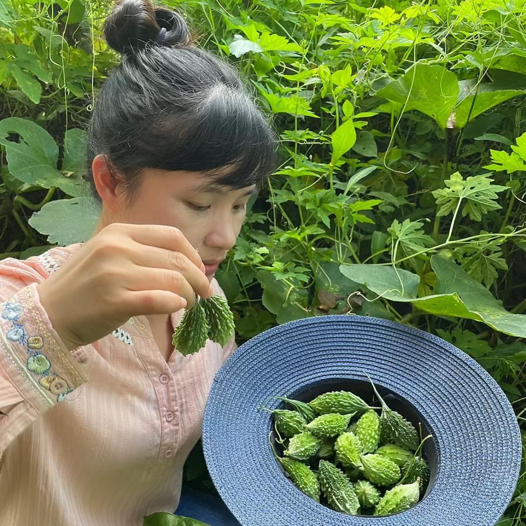 土楼小媚