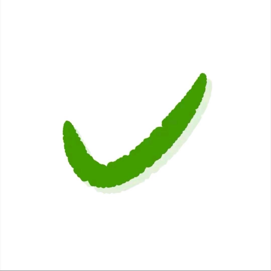 速食泡面一年份