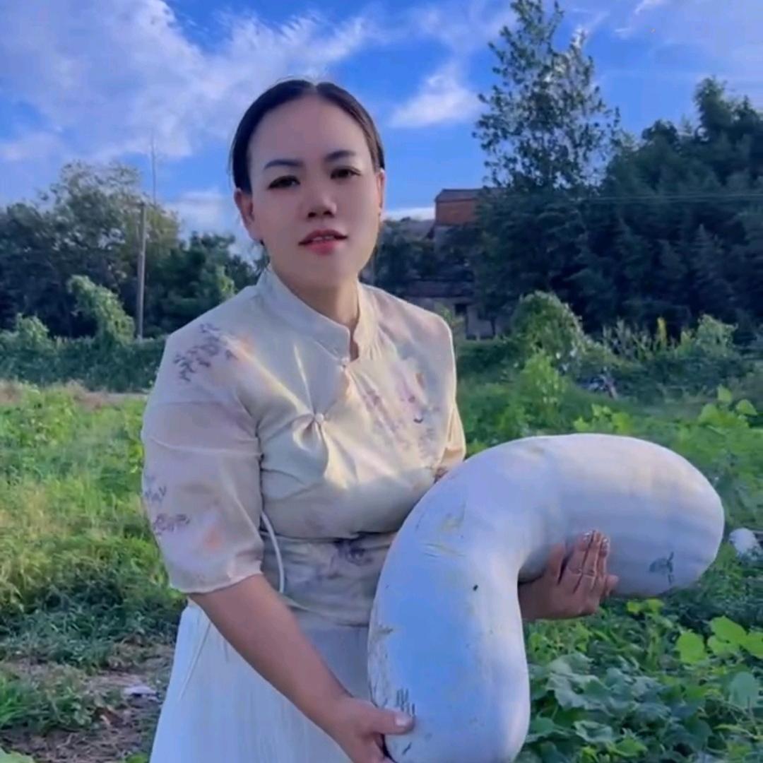 乡村阿琳之莲藕西施