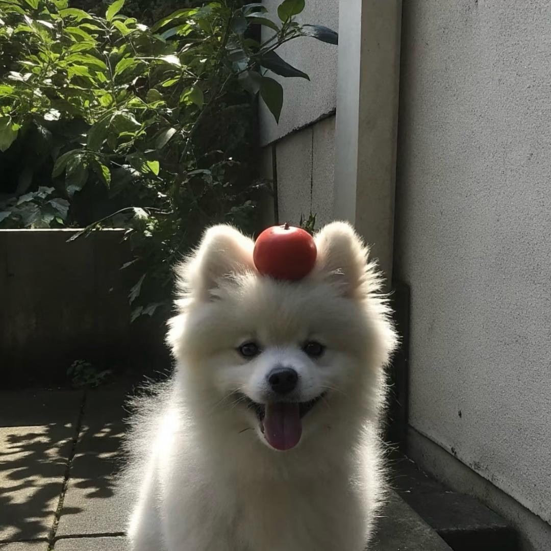 🦦
