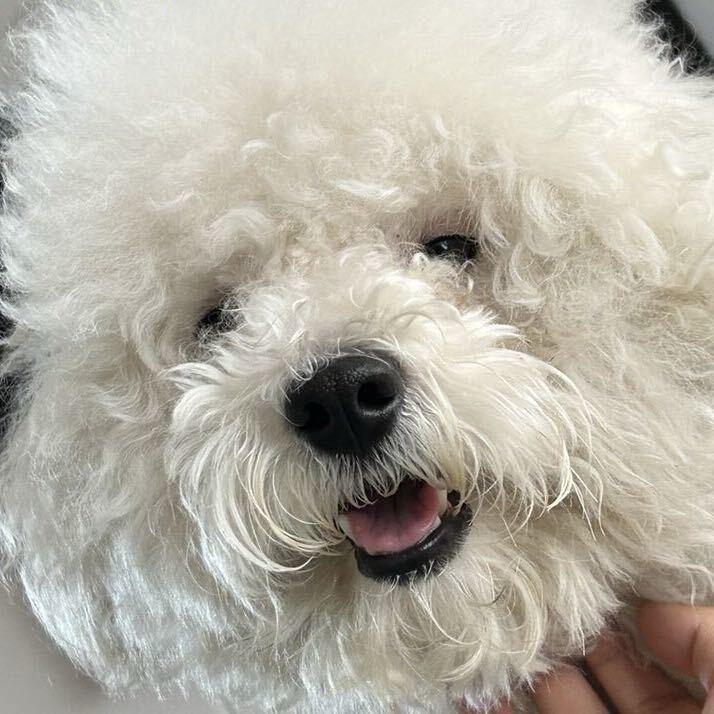 小郭锅锅.（已登船版）