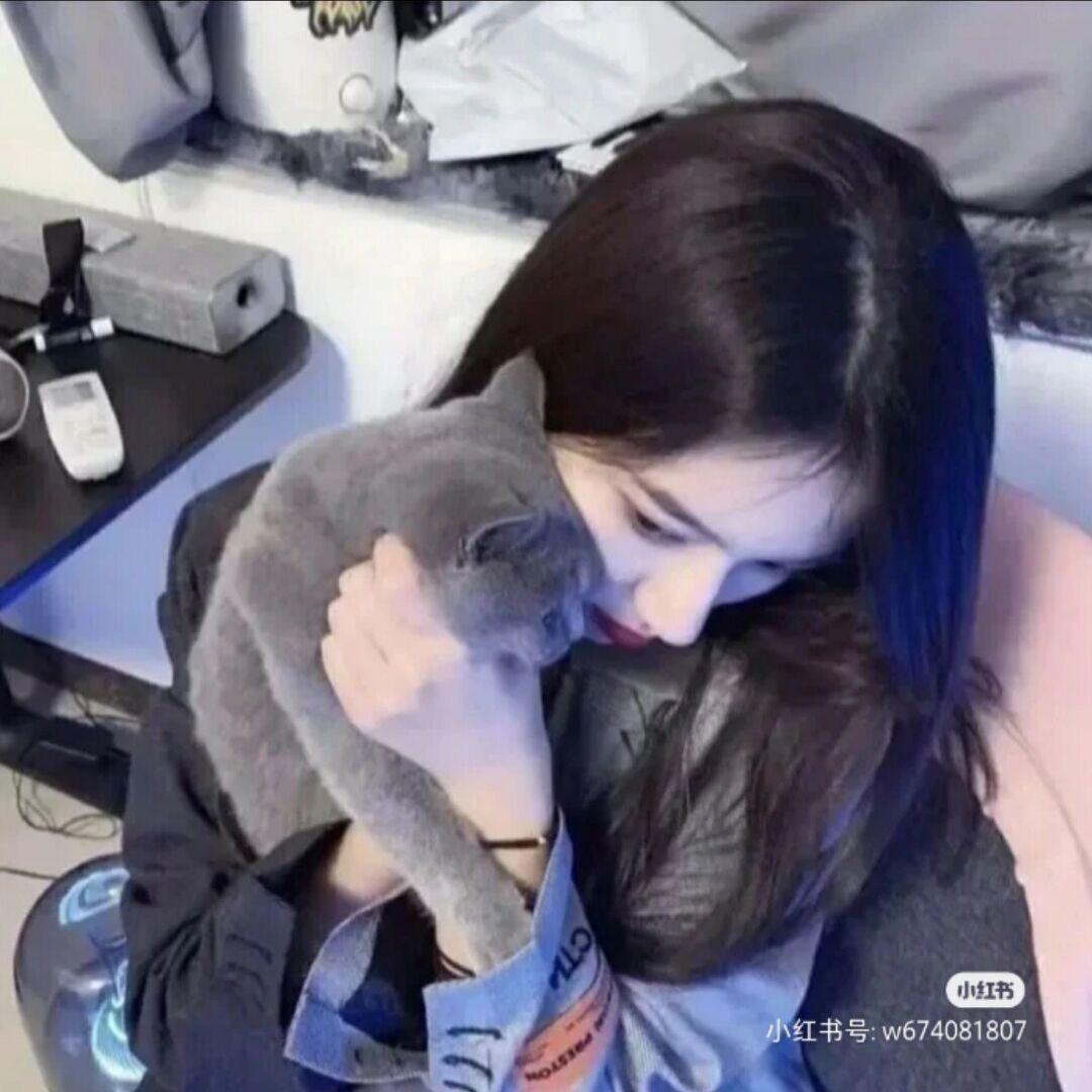 奈抒宇