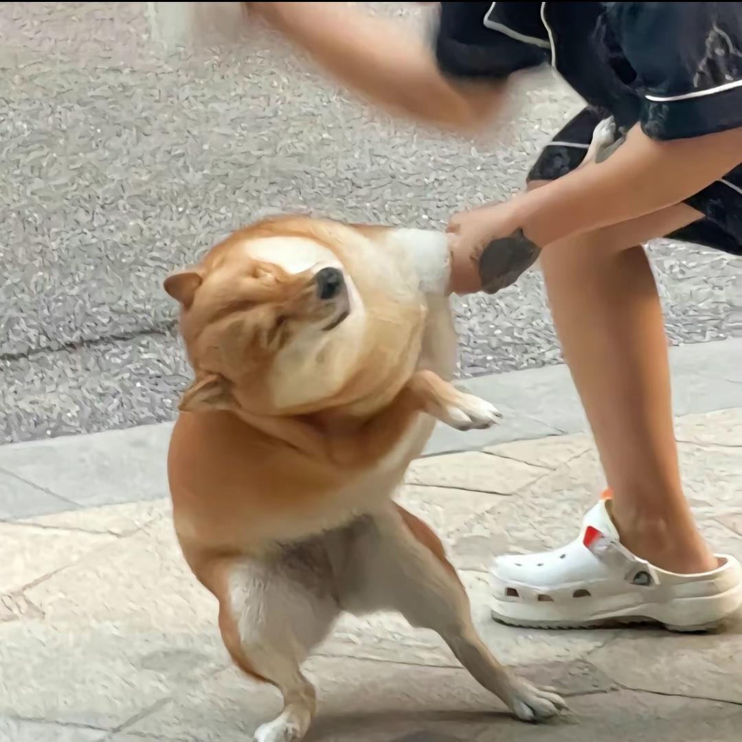 〆、维尼╮