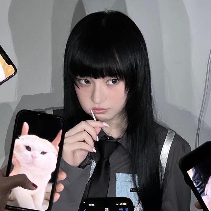 釜山赛级洋犬代购