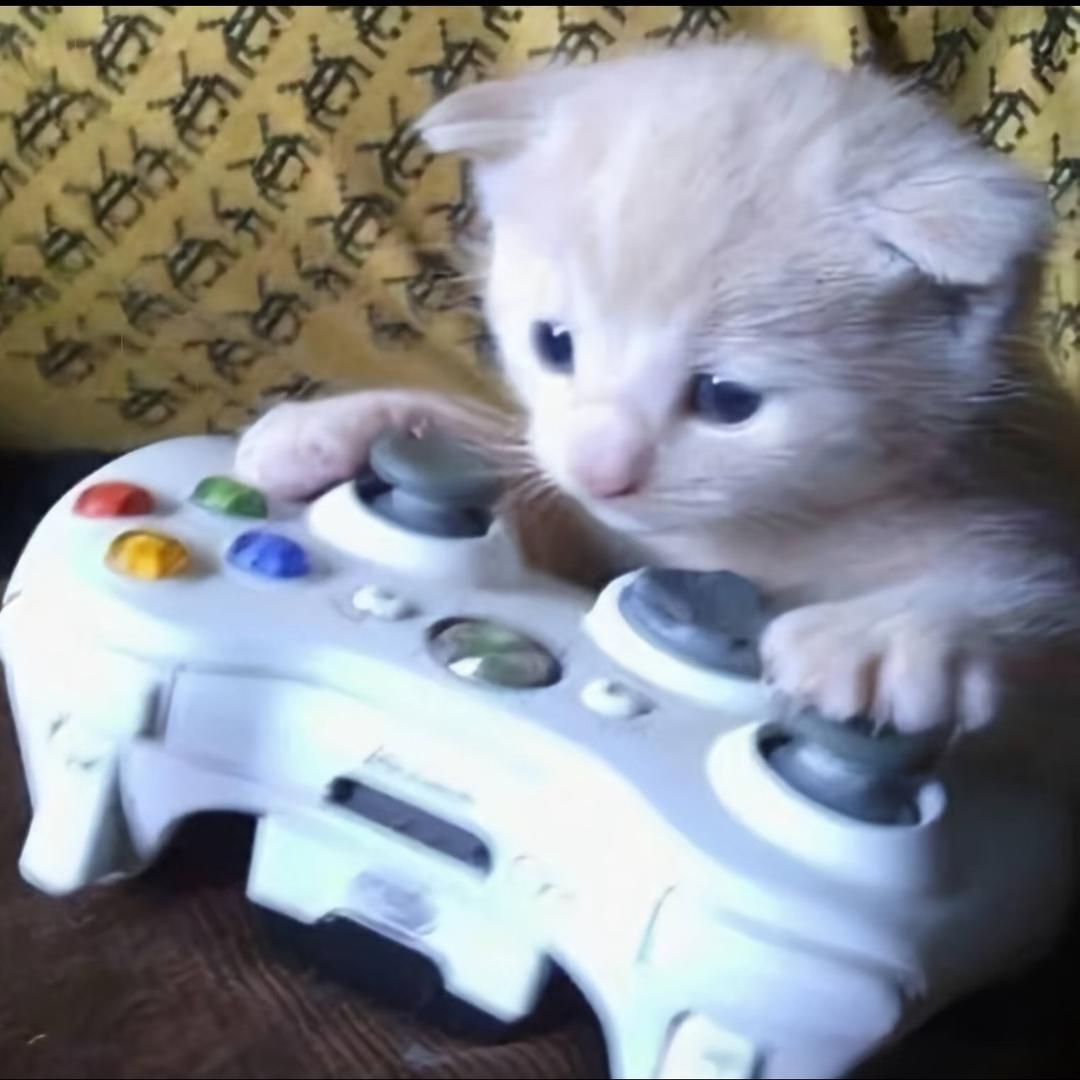 猪头蛋
