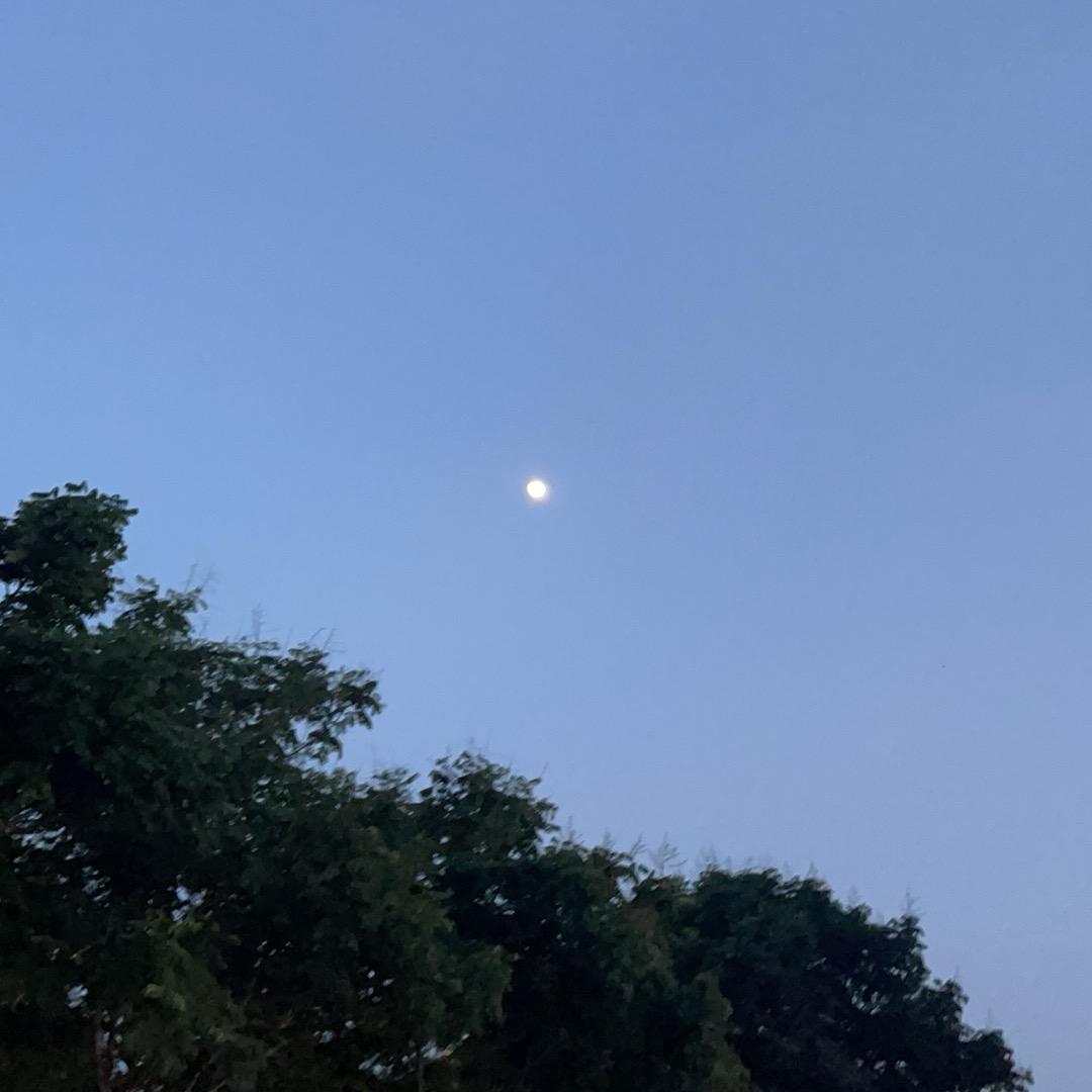 梦醒lel头像