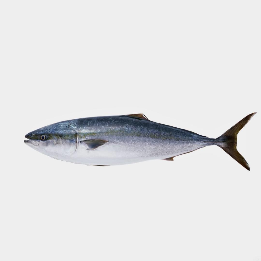 一天两瓶怡宝儿