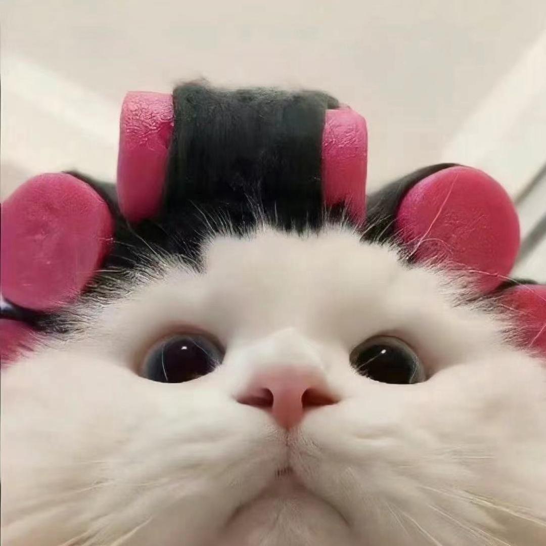 馥芮白