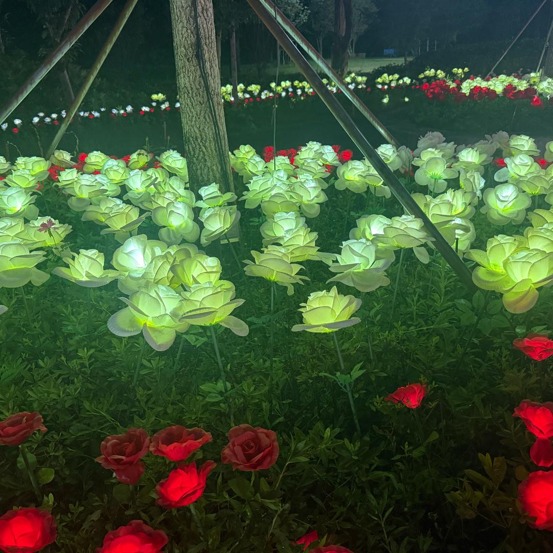 🍒🍒时光嫣然🍒🍒