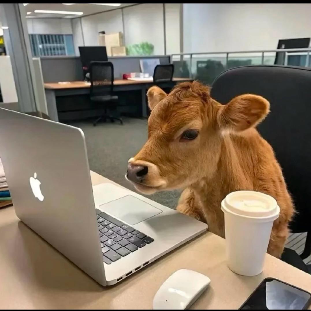 办公水杯研究所