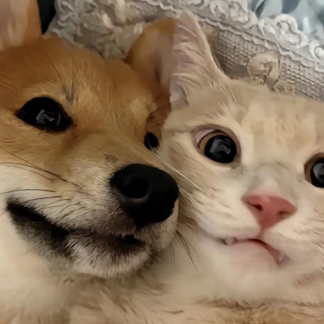 侯奇生
