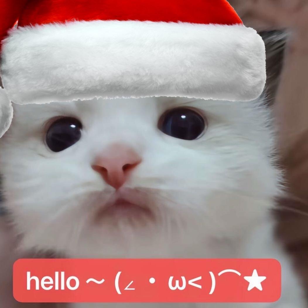 猫露露