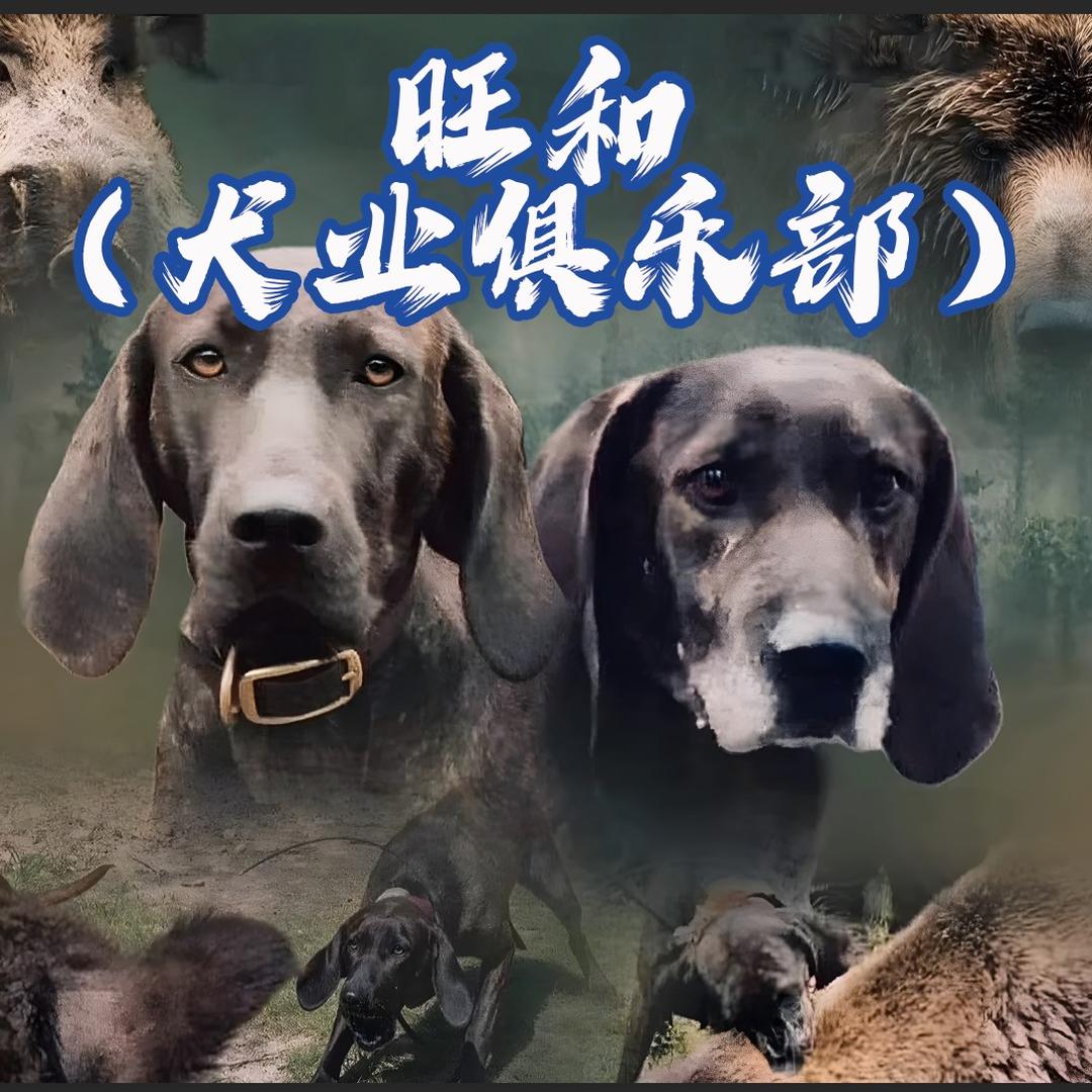 旺和（犬业俱乐部）
