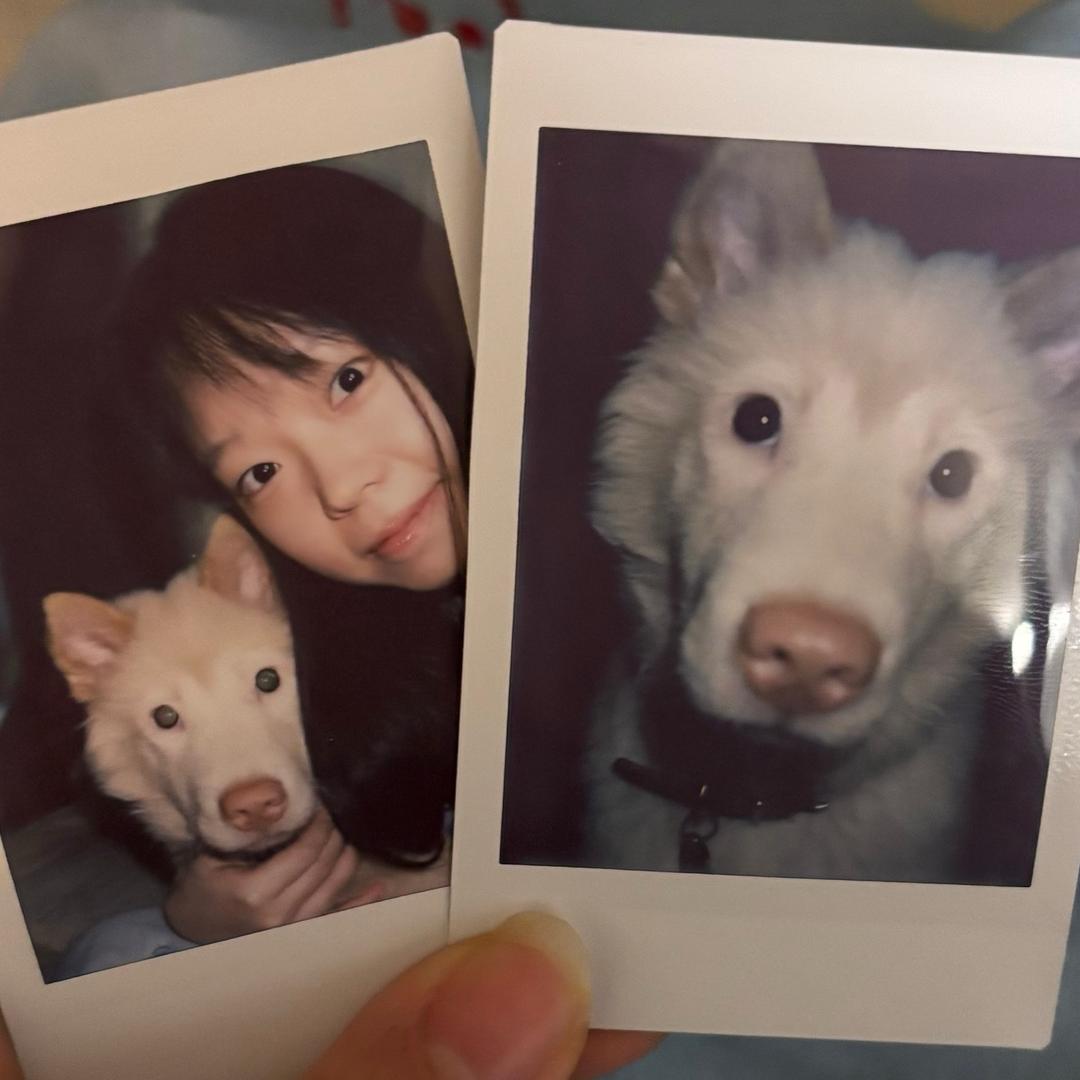 云云吃不胖 （154版）