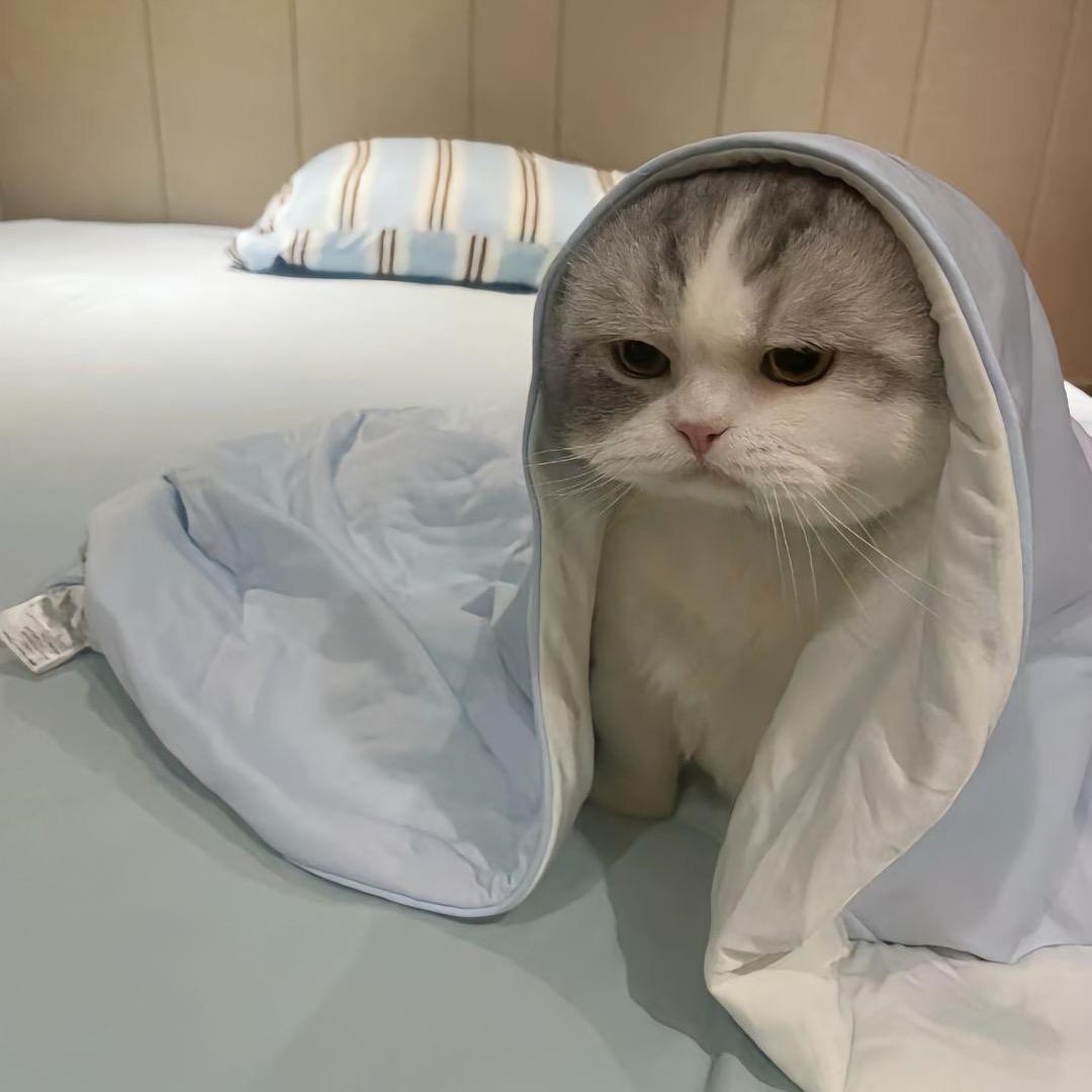 看过就好了