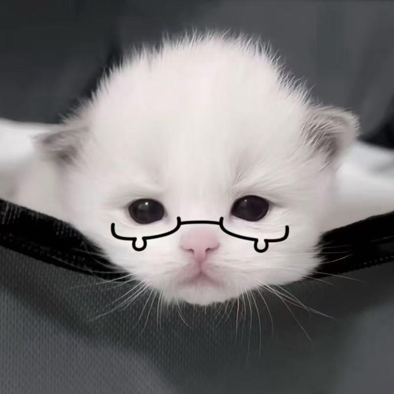 我女朋友最可爱