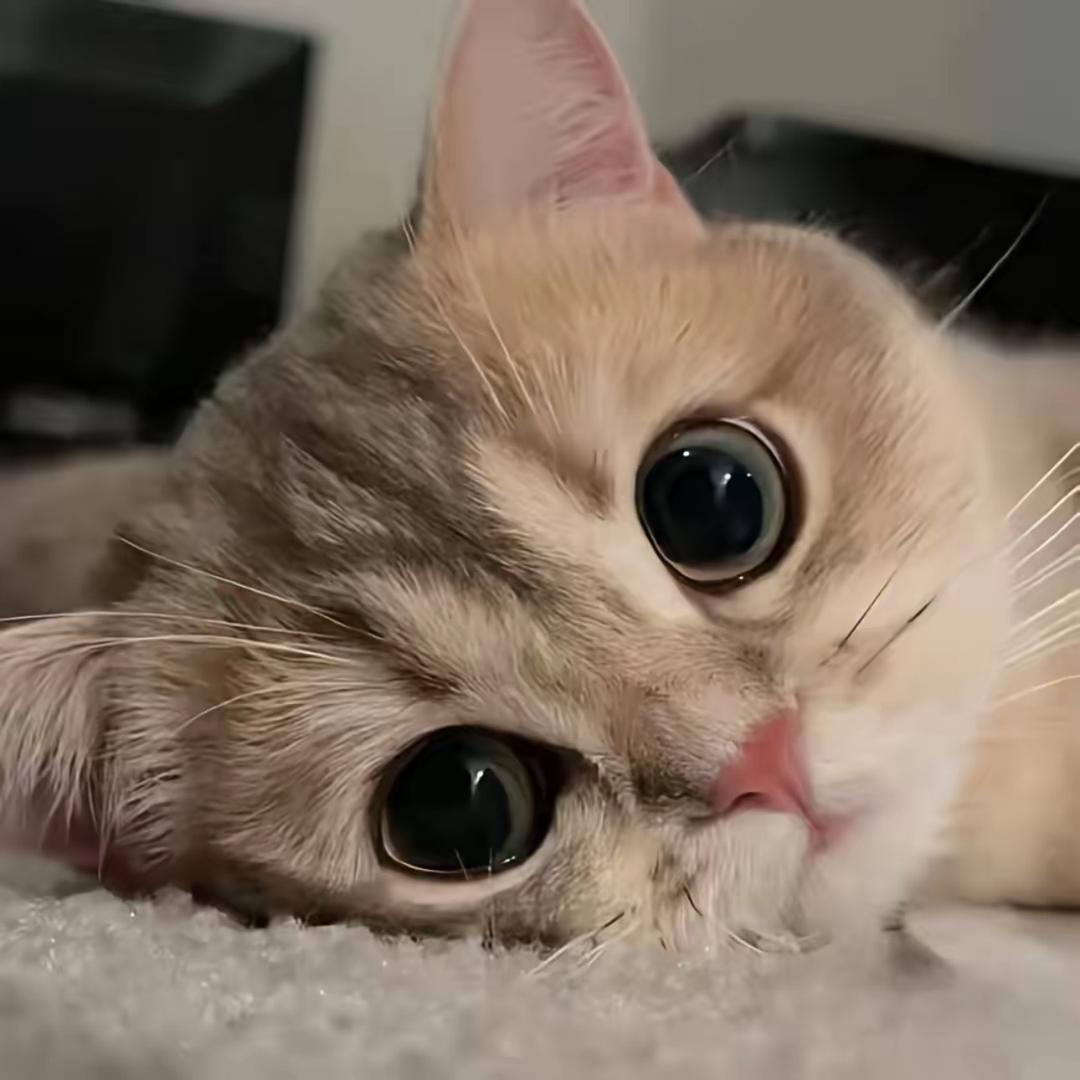 独自.