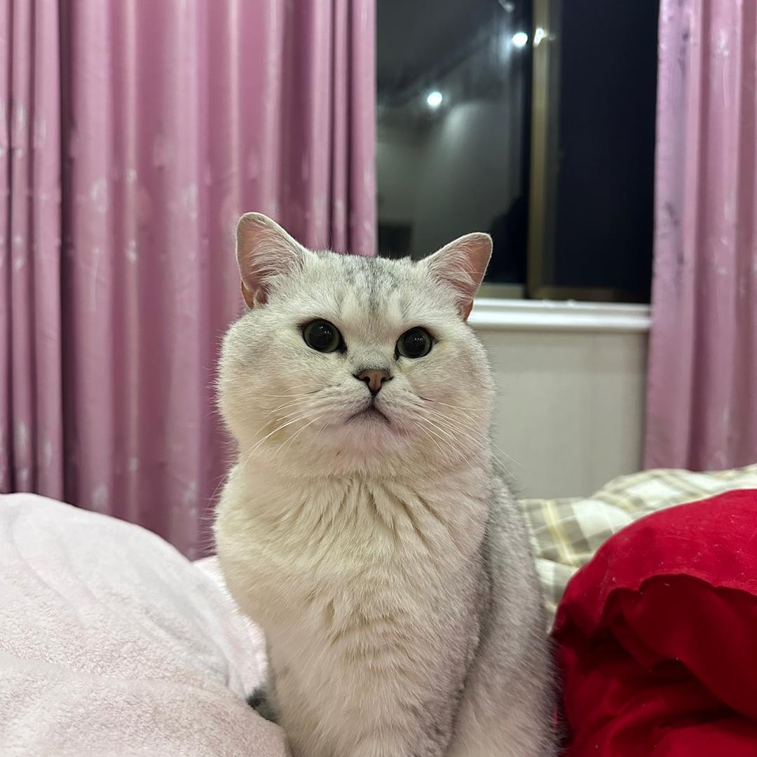 可乐再也不乐了