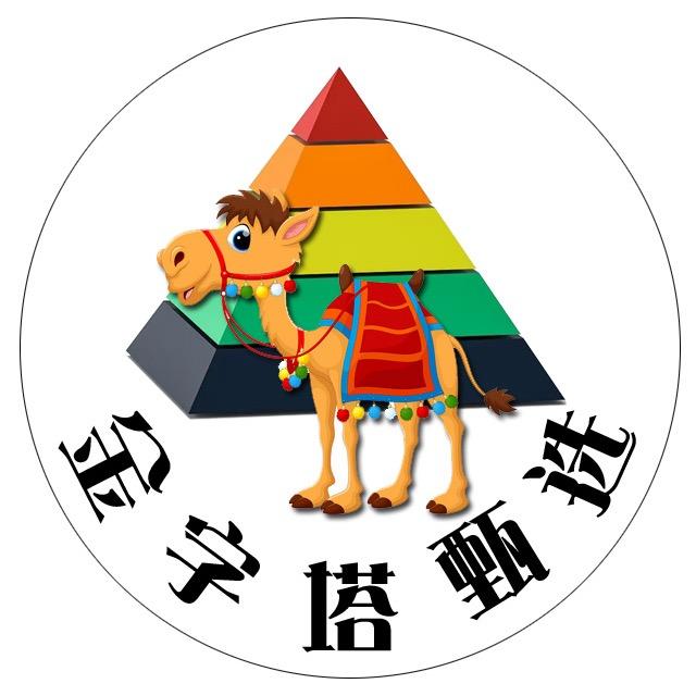 金字塔甄选