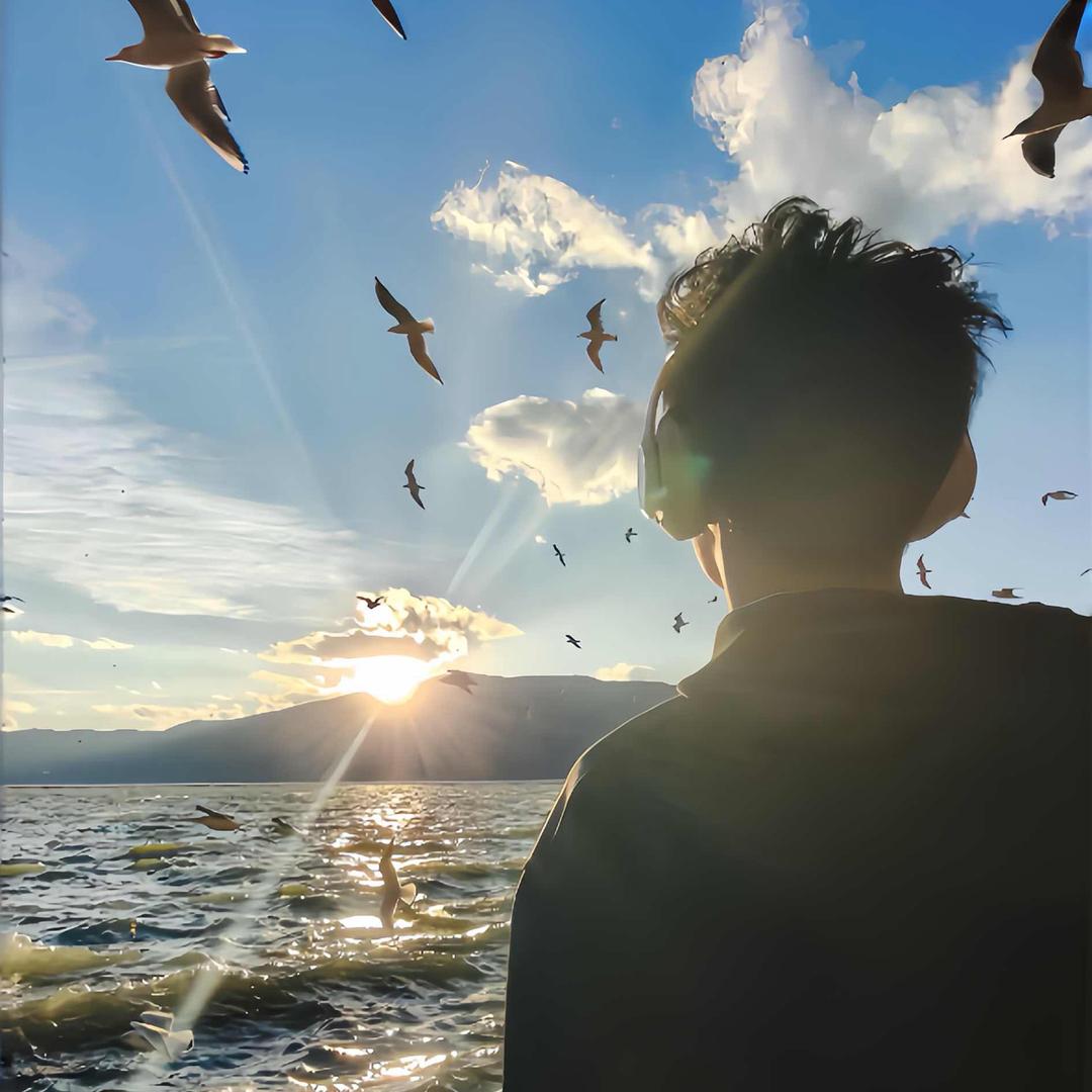 freedom～