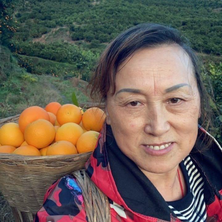 诗与远方（不定时开直播）