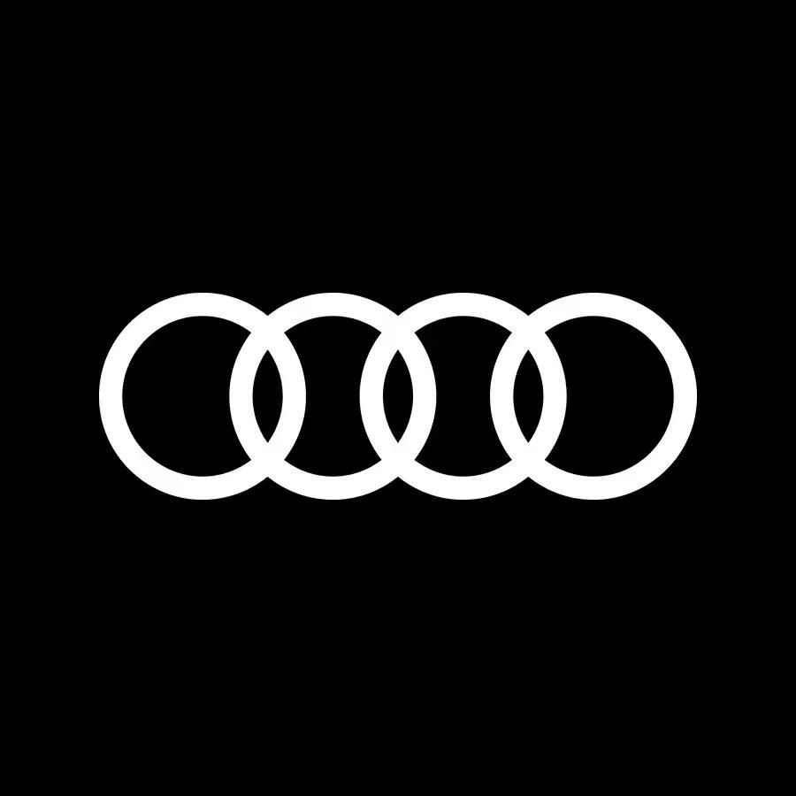 一汽奥迪新能源-哈尔滨广申