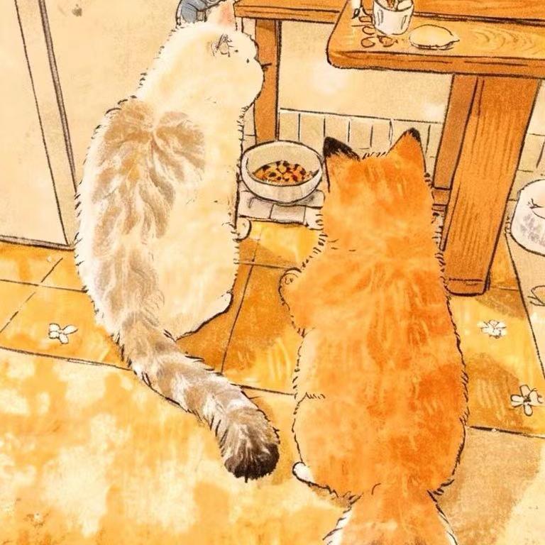 我有九个金桔🍊