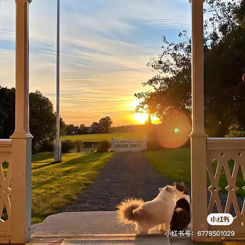 ₕₑₗₗₒᵏⁱᵗᵗʸღ