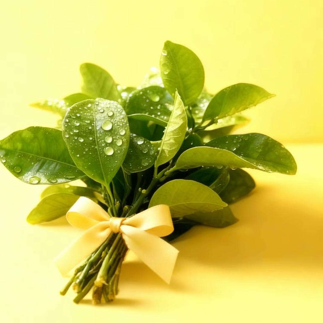 慈溪市周巷雨琪服装店