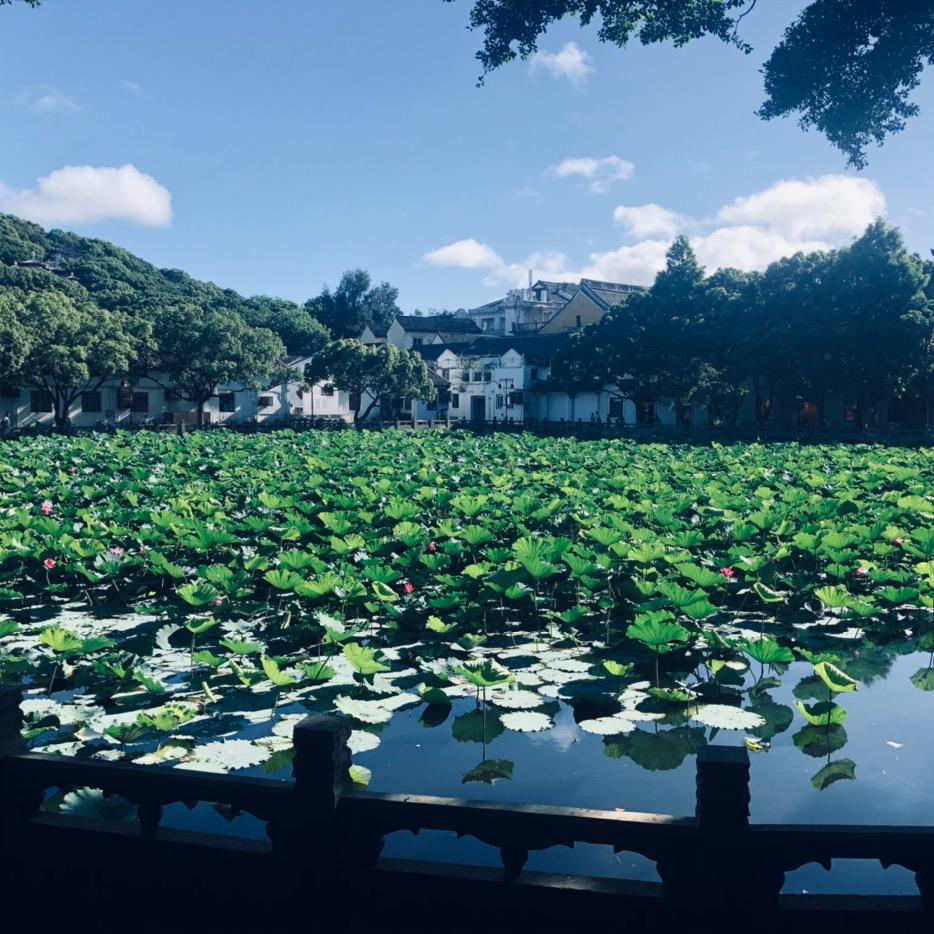 岩姐（老许家全羊馆）