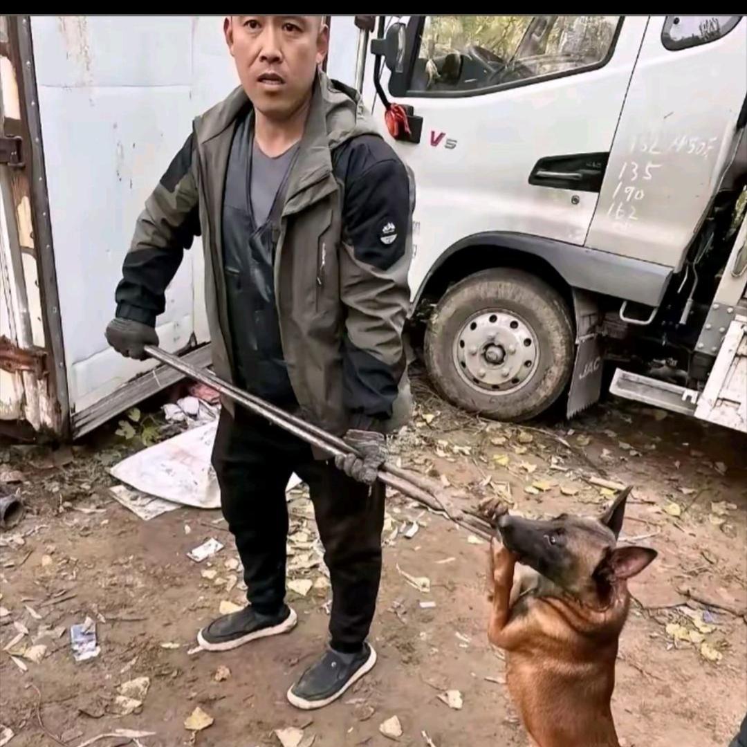 ㅤA专业套狗王师傅（全国可套）